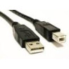USB 2.0 Cable: 5M AM-BM (Standard For Printers)